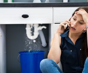 About Septic Pumping Service Forestville, NY